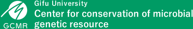 Gifu University Center for conservation of microbial genetic resource (GCMR)